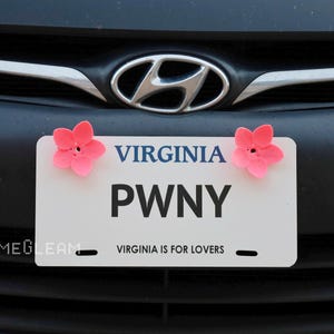 May include: A white license plate with pink flower accents. The plate reads "VIRGINIA" and "PWNY" with the text "VIRGINIA IS FOR LOVERS" below.