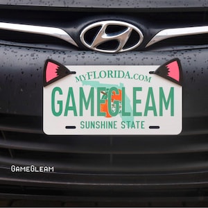 Puede incluir: Una placa de matrícula de Florida con el texto "GAMEGLEAM" en verde, con un mapa de Florida y las palabras "Sunshine State". La placa está adornada con orejas de gato negras con el interior rosa. También se ve el sitio web "MYFLORIDA.COM".