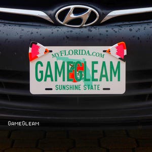 Puede incluir: Una placa de matrícula de Florida con el texto "GAMEGLEAM" en verde y rojo, y "SUNSHINE STATE" debajo. La placa está montada en un parachoques de coche negro. Se adjuntan detalles decorativos con diseños rojos, blancos y negros.