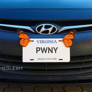 Könnte beinhalten: Ein blaues Auto mit einem Virginia-Kennzeichen, auf dem "PWNY" steht und zwei orangefarbene Schmetterlingsdekorationen an den Seiten. Das Kennzeichen trägt auch den Schriftzug "Virginia is for Lovers".