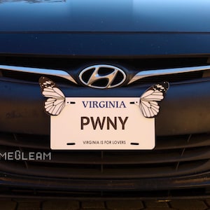 Könnte beinhalten: Ein schwarzes Auto mit einem weißen Nummernschild, auf dem "VIRGINIA PWNY VIRGINIA IS FOR LOVERS" steht. Am Stoßfänger befinden sich zwei weiße Schmetterlingsdekorationen.
