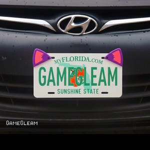 May include: A license plate with the text "GAMEGLEAM" in green and orange, with the text "SUNSHINE STATE" below. The plate has purple and pink cat ear accents and is mounted on a black car.