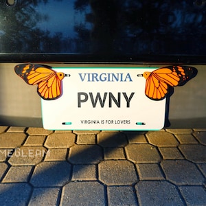 Alas de mariposa monarca para matrícula: decoración holográfica naranja para coche