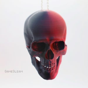 Peut inclure: Un pendentif en forme de crâne humain peint en noir et rouge. Le crâne est moitié noir et moitié rouge, avec le côté rouge face au spectateur. Le crâne est suspendu à une chaîne argentée.