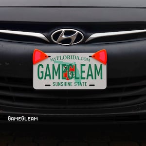 Puede incluir: Una placa de matrícula de Florida con el texto "GAMEGLEAM" en letras verdes, con el contorno de Florida en el fondo. La placa está montada en un coche negro, con dos reflectores naranjas fijados en las esquinas superiores. El texto "SUNSHINE STATE" está en la parte inferior.