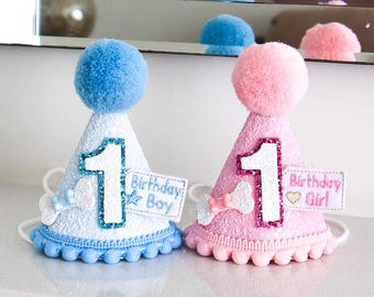 Dog Birthday Bone Hat , Dog Birthday Hat, Pet Birthday, First Birthday Hat