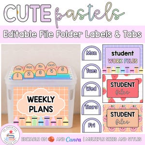 Editable Hanging File Folder Tabs & Labels | Student Data and Planning | Assessment Box Labels | Teacher Organisation | Cute Pastels
