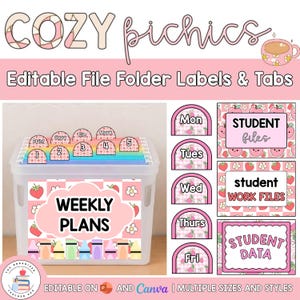 Editable Hanging File Folder Tabs & Labels | Student Data and Planning | Assessment Box Labels | Teacher Organisation | Cute Cozy Picnics