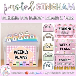 Editable Hanging File Folder Tabs & Labels | Student Data and Planning | Assessment Box Labels | Teacher Organisation | Pastel Gingham