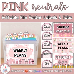 Editable Hanging File Folder Tabs & Labels | Student Data and Planning | Assessment Box Labels | Teacher Organisation | Muted Pink Neutrals