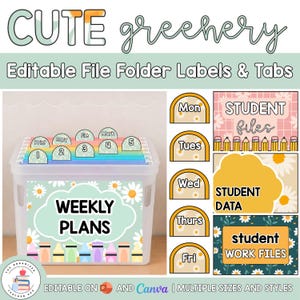 Editable Hanging File Folder Tabs & Labels | Student Data and Planning | Assessment Box Labels | Teacher Organisation | Cute Greenery