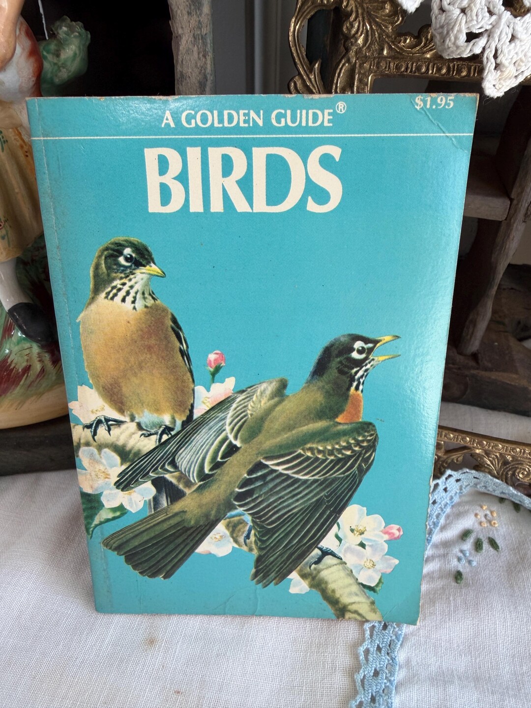 Old Nature Guide A Golden Guide: Birds (1956) | Vintage Field Guide | Mid-century ...