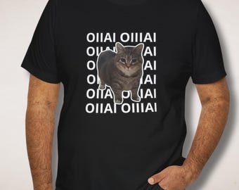 Spinning Cat Meme Shirt, Viral Meme Shirt, Weird Meme Lover Gift, OIIAI Meme Tee, Pop Culture Meme Shirt, Gift for Meme Fans