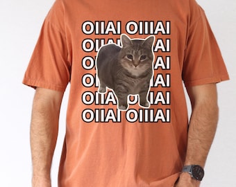 Spinning Cat Meme Shirt, Viral Meme Shirt, Weird Meme Lover Gift, OIIAI Meme Tee, Cat Meme Tee, Pop Culture Meme Shirt, Gift for Meme Fans