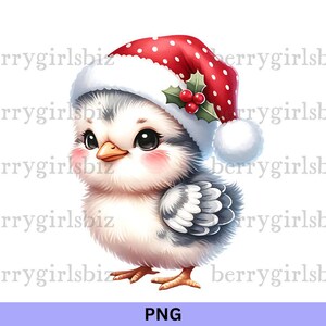 Pájaro lindo PNG, pájaro navideño PNG, clipart navideño, pájaro bebé, clipart de pájaro, pájaro con gorro de Papá Noel, lindo pájaro navideño, descarga digital