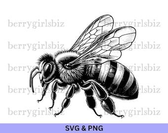 Honey Bee SVG PNG, Honey Bee png, Honey Bee svg, Honey Bee Clipart, Honeybee, Beekeeping, Bees, Bee, Pollinators, Insects, Digital Download