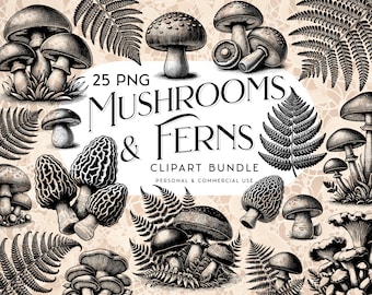 Mushrooms & Ferns Clipart, Mushroom Clipart, Ferns Clipart, Forest Clipart, cottagecore, nature, digital download, commercial use, PNG files