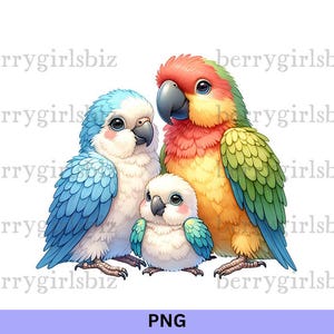 Parrot PNG, Parrots PNG, Parrot Family PNG, Parrot Clipart, Cute Parrot, Bird Clipart, Baby Parrot, Parrot Family Picture, Digital Download