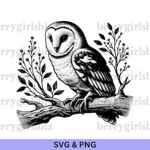 Schleiereule SVG PNG, Eule auf Ast, Eule, Eule Clipart, Eulen-Design, Waldtiere, Cottagecore Eule, Vögel, Eule svg, Eule png, digitaler Download