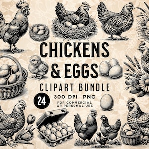 Hühner & Eier PNG Bundle, Huhn PNG, Hühnereier PNG, Huhn Clipart, Eier Clipart, Hühner, Hühnerfarm, Landwirtschaft, digitaler Download