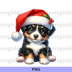 Berner Sennenhund, Weihnachtshund PNG, Weihnachtscliparts, Hunde Clipart, Berner Sennenhund, Hund PNG, Weihnachtshund, digitaler Download