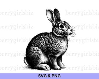Rabbit SVG, Rabbit PNG, Bunny, Rabbit, Rabbit Vector Graphic, Rabbit Clipart, Bunny Clipart, Farm Animals, Forest Animals, Digital Download
