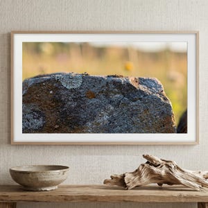 May include: A framed print showing a close-up of a weathered rock with lichen. The rock is grey and brown, set against a blurred background of golden grass and wildflowers. The frame is made of light wood.