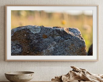 1776 Fieldstone Wall Art | Pale Lichen Nature Decor | Minimalist Print (Digital Download)