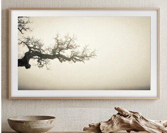 The Witness Oak Print | Antique Tree Branch Sketch Decor (Digital Download)