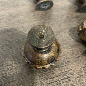 May include: A close-up of a brass cabinet knob with a scalloped edge and a round top. The knob has a screw hole in the center.