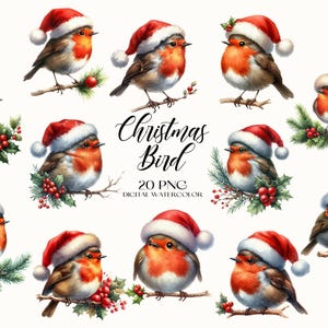 Imágenes prediseñadas de pájaro navideño, lindo pájaro navideño PNG, imágenes prediseñadas de pájaro de dibujos animados, imágenes prediseñadas de pájaro de acuarela, imágenes prediseñadas de Navidad, imágenes prediseñadas de decoración de invierno PNG