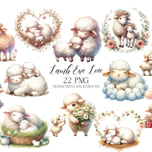 以下が含まれることがあります： 様々なポーズの羊と子羊の水彩イラスト。抱き合ったり、花や風船を持ったりしています。「Lamb Ewe Love」と「22 PNG TRANSPARENT BACKGROUND」の文字も表示されています。