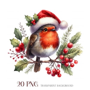 Watercolor Christmas Bird Clipart: Winter Holiday PNG Images (Digital Download)