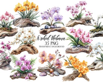 Orchid Ikebana Flowers Clipart, Tropical Floral PNG (35 Files)