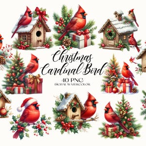 Pájaro cardenal navideño Clipart, Pájaro cardenal navideño PNG, Pájaro cardenal navideño Clipart, Pájaro acuarela PNG, Clipart navideño
