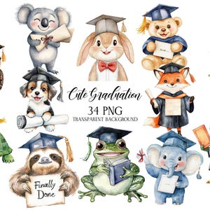 Funny Animals Graduation Clipart, Graduation Animals PNG, Watercolor Cartoon Clipart, Graduation Clipart, Animals Clipart
