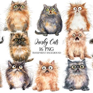 Quirky Cats Clipart, Cute Life Cat PNG, Animals Illustrations PNG, Watercolor Cartoon Clipart, Funny Animals Clipart, Birthday Clipart