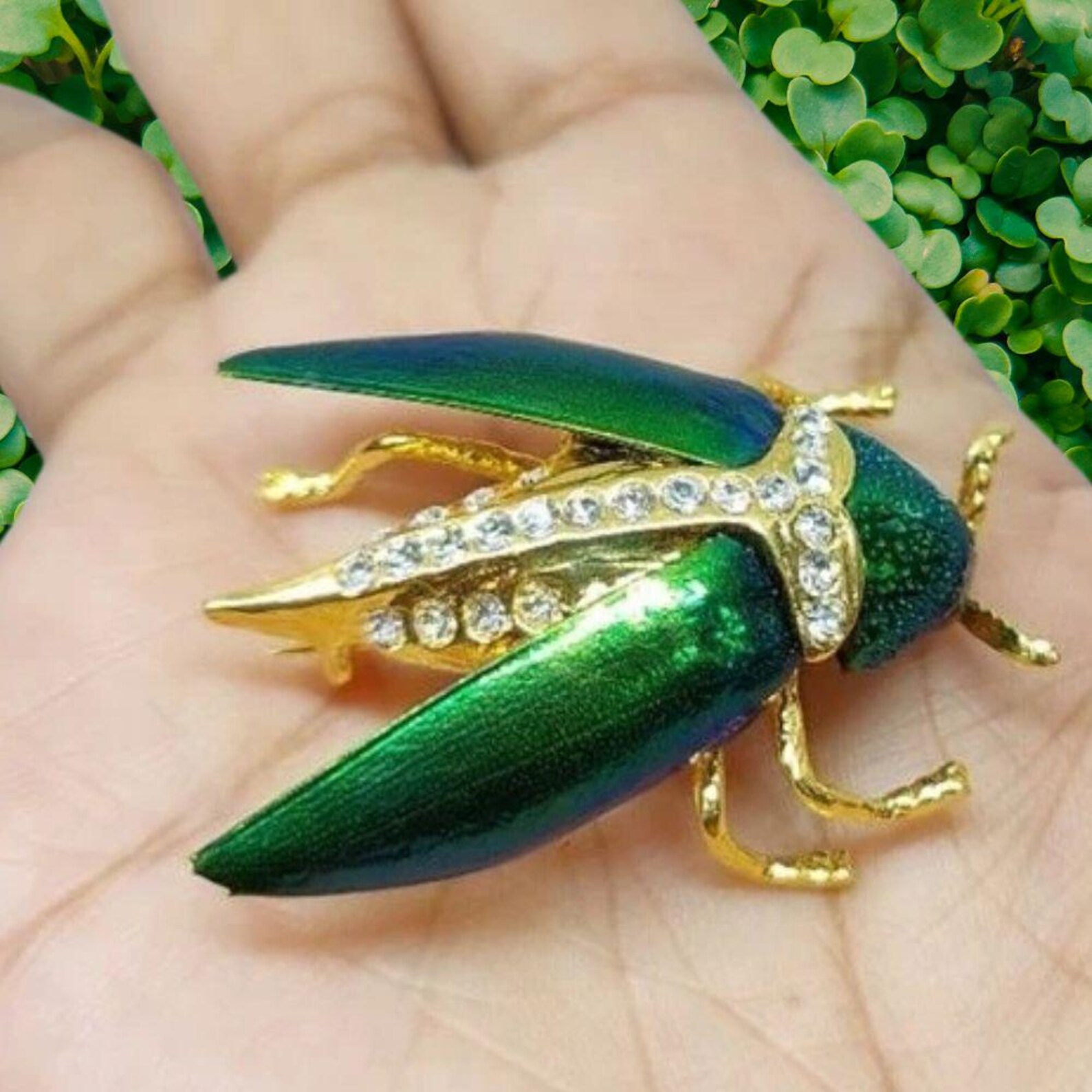 Real Beetle Wing Brooch: 18K Gold-plated Insect Pin With Rhinestones - Etsy