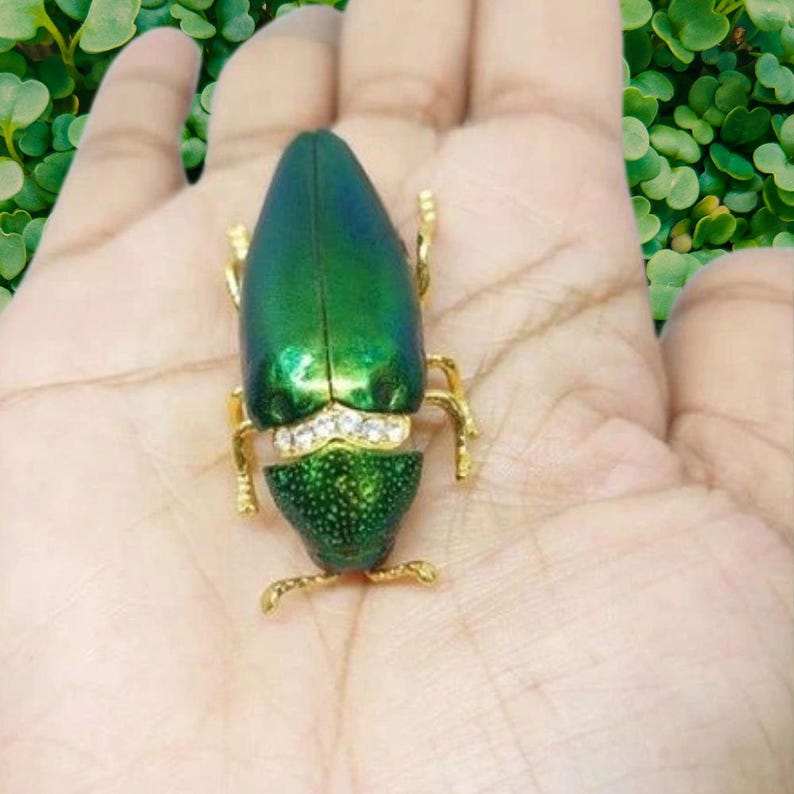 Real Beetle Wing Brooch: 18K Gold-plated Insect Pin With Rhinestones - Etsy