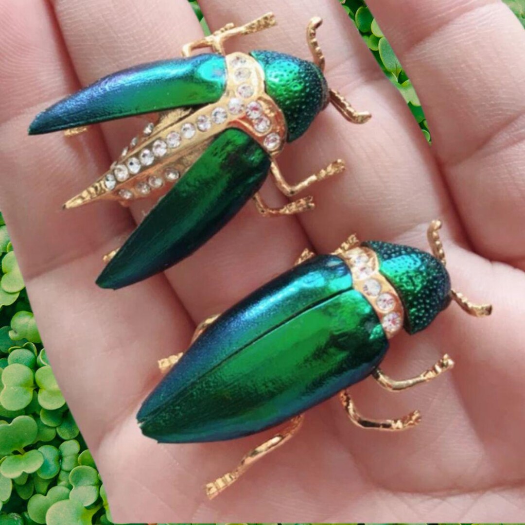 Real Beetle Wing Brooch: 18K Gold-plated Insect Pin With Rhinestones - Etsy