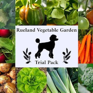 Vegetable Garden Seed Trial Pack - 10 Different Seed Varieties - Heirloom Non-GMO