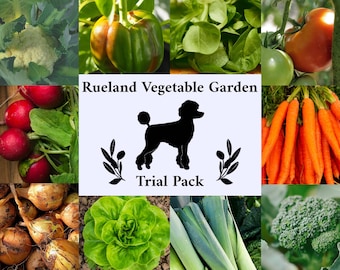 Vegetable Garden Seed Trial Pack - 10 Different Seed Varieties - Heirloom Non-GMO