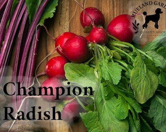 Champion Radish Seeds - Heirloom Non-GMO Root Vegetable Garden Seeds
