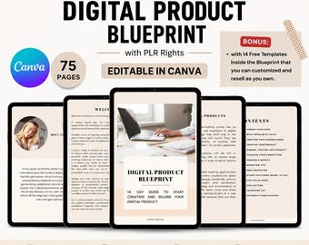 Digital Products Guide  PLR Ebook Digital Product Blueprint Dfy Digital Products plr Digital Products Digital Marketing