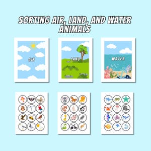Peut inclure: Une activité éducative imprimable pour classer les animaux en fonction de leur habitat. L'activité comprend trois cartes avec des images d'un ciel bleu, d'une herbe verte et d'une eau bleue. Les cartes sont étiquetées "Air", "Terre" et "Eau". Sous les cartes se trouvent trois ensembles d'images d'animaux, notamment un oiseau, un papillon, une chauve-souris, un hibou, un perroquet, un aigle, une abeille, un écureuil, un éléphant, un cheval, un lion, un lapin, une vache, un cochon, une girafe, un panda, un serpent, une tortue, une étoile de mer, un crabe, une méduse, un hippocampe, une pieuvre et un dauphin.