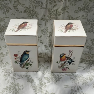 May include: Two white ceramic canisters with gold trim and bird illustrations. Each canister has a square lid with a bird design. The sides feature different bird and floral designs. The canisters are on a floral patterned surface.