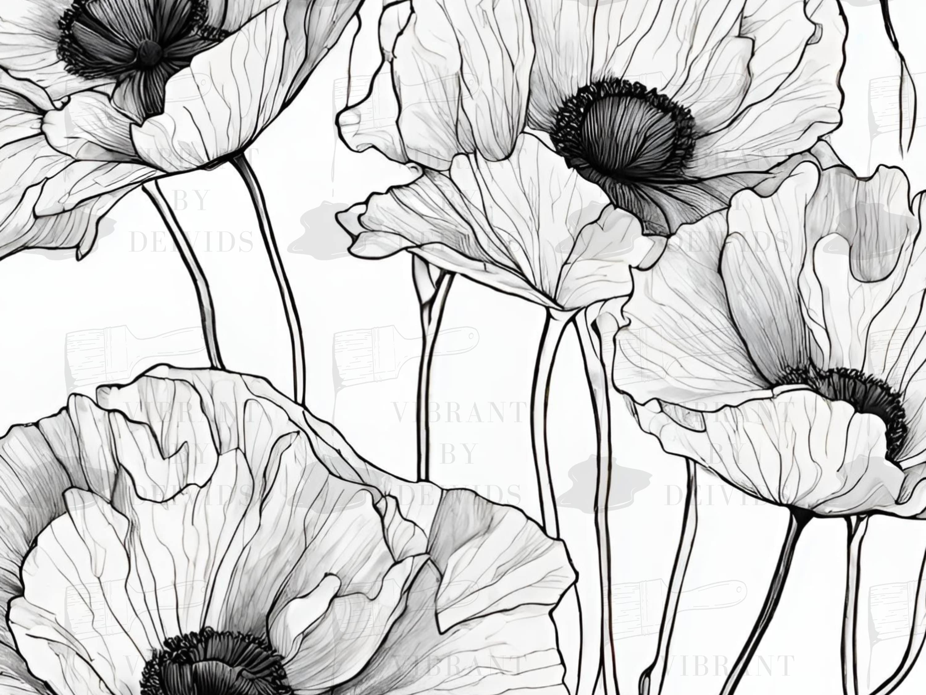 Poppies Coloring Pages Printable Floral Art for Relaxation and Creativity Instant Download