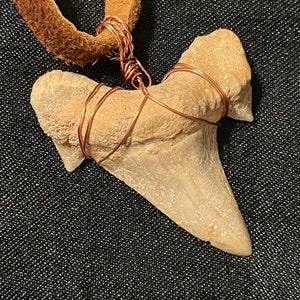 Copper Wire Wrapped Otodus Shark Tooth