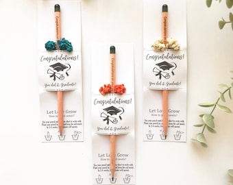 Graduation Celebration Favors, Graduation Memorial Seed Pencil Favor, University Graduation Favor, Eco Friendly Graduation Favor For Student
