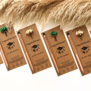 Bomboniere personalizzate per laurea con matite piantabili, regali di laurea personalizzati, regalo di congratulazioni per la scuola per studenti, regalo di laurea con matita riciclabile